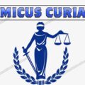Amicus Curiae