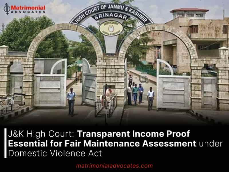 Transparent Income Proof Essential for Fair Maintenance Assessment under Domestic Violence Act