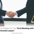 ow to Prepare for Your First Meeting with a Matrimonial Lawyer Posted on July 10, 2024 by Matrimonial Advocates