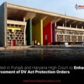 PIL Filed in Punjab and Haryana High Court to Enhance Enforcement of DV Act Protection Orders