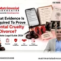 Mental Cruelty In Divorce Evidence Required To Prove It